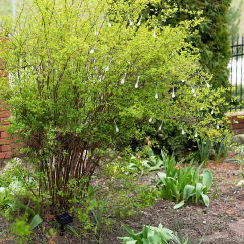 Lampki solarne ogrodowe łezki 6,5m 30LED ciepły biały