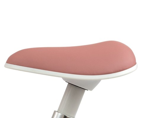 Milly Mally Rowerek Biegowy Skippy Pink