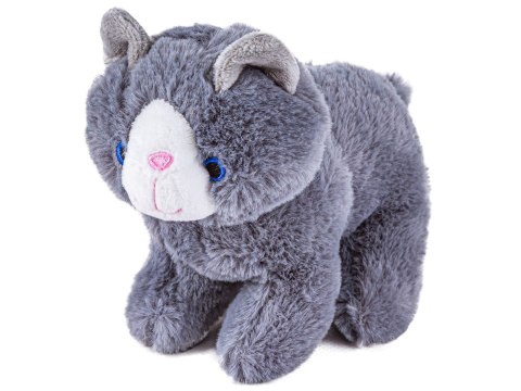 Zestaw Do Pielęgnacji Kota 7el Kot Transporter Plecak Akcesoria Opieka Nad Kotkiem