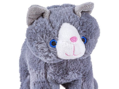 Zestaw Do Pielęgnacji Kota 7el Kot Transporter Plecak Akcesoria Opieka Nad Kotkiem