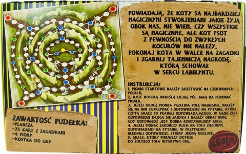 Samochód zdalnie sterowany Pickup Truck Climbing Vehicle 1:8 2,4GHz